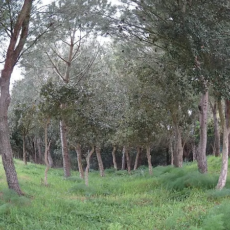 Turismo Rurale Cortes Arbus