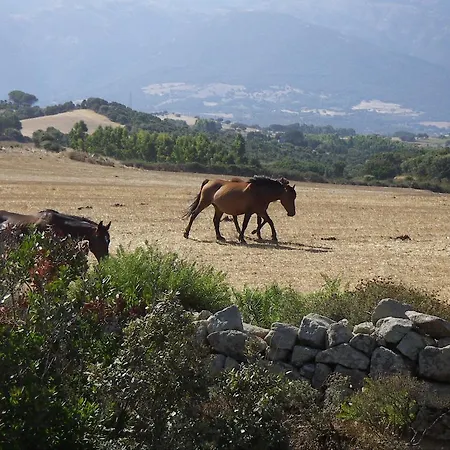 Casa di campagna Turismo Rurale Cortes *